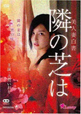 把月亮寄给你电影海报